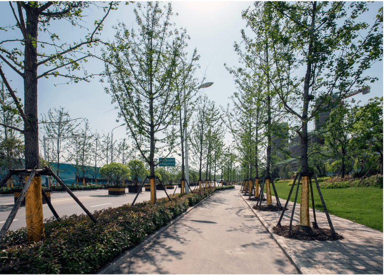 庐阳区固镇路（西二环路-怀宁路）工程